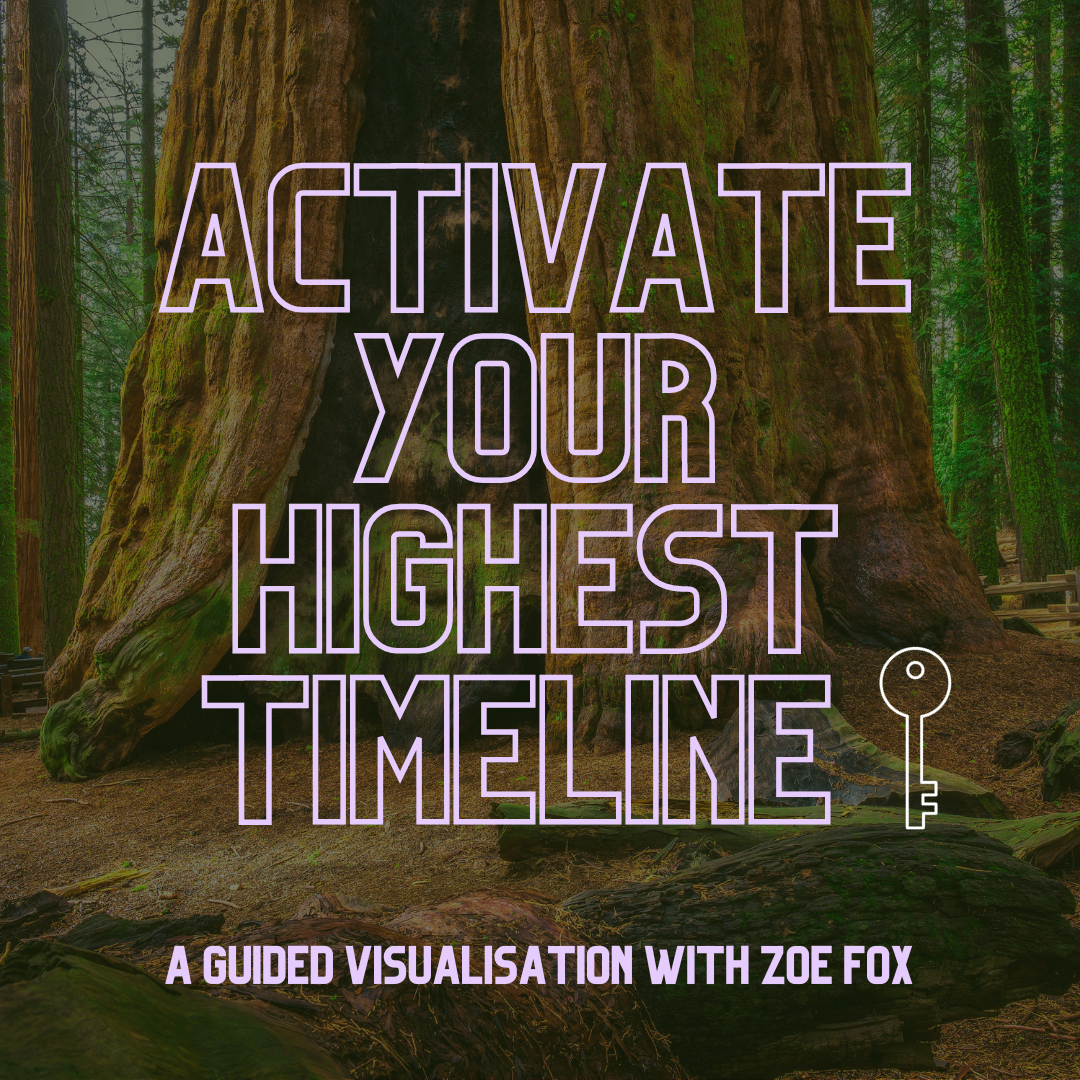Activate Your Highest Timeline Guided Visualisation